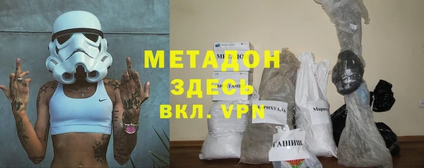 индика Алексин