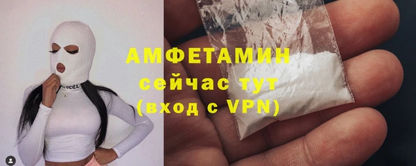 стафф Алзамай