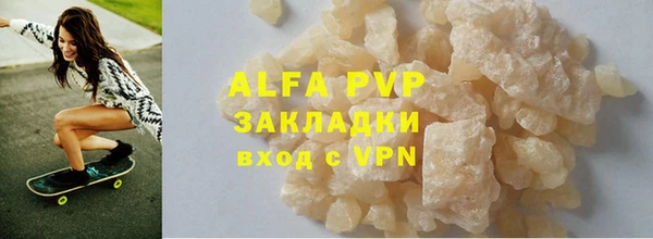 индика Алексин