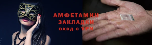 стафф Алзамай