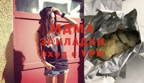 индика Алексин