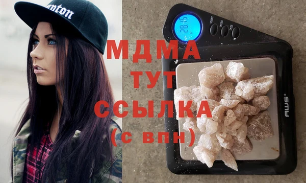 индика Алексин