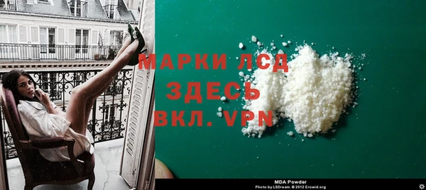 индика Алексин