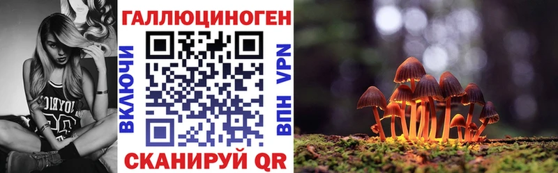 Псилоцибиновые грибы мухоморы Домодедово